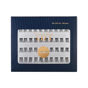Pierre Rene Art Perfection Lashes rzęsy w kępkach 40szt