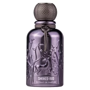 Auraa Desire Spiritz ekstrakt perfum spray 100ml (U)