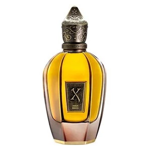 Xerjoff Aqua Regia perfumy spray 100ml (U)