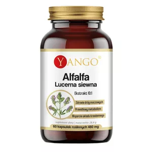 Yango Alfalfa lucerna siewna suplement diety 60 kapsułek
