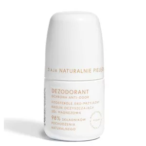 Ziaja Naturalnie Pielęgnujemy, dezodorant w kulce, ochrona anti-odori, 60ml
