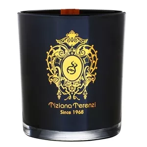 Tiziana Terenzi Ecstasy świeca aromatyczna z nutami drzewno-kadzidlanymi 170g