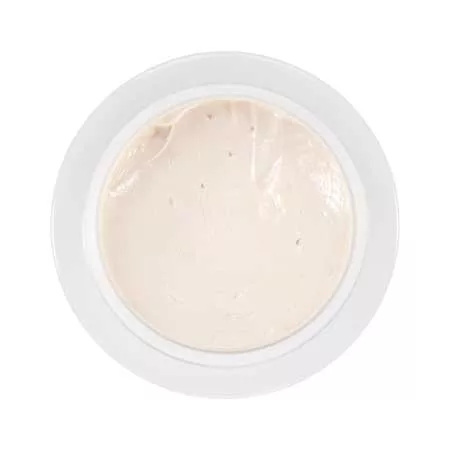 Kryolan, Invisible Matt Plus, matujący krem do twarzy, 30ml