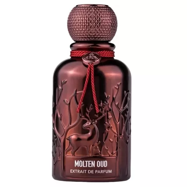 Auraa Desire Noir Grit ekstrakt perfum spray 100ml (U)