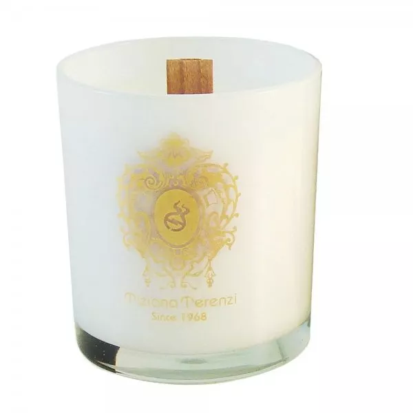 Tiziana Terenzi Extreme Sense aromatyczna świeca do wnętrz 170g