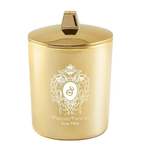 Tiziana Terenzi Draco świeca aromatyczna do domu 170g