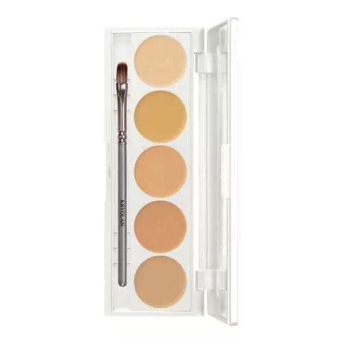 Kryolan Dermacolor Camouflage Creme Quintett, paleta 5 kamuflaży, DQ 1