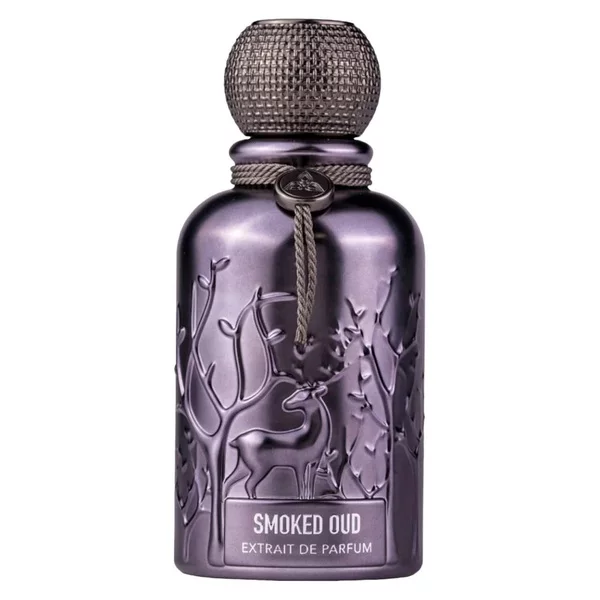 Auraa Desire Spiritz ekstrakt perfum spray 100ml (U)