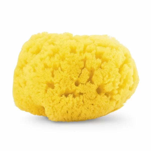 Chicco Naturalna gąbka do kąpieli dla dzieci 0m+