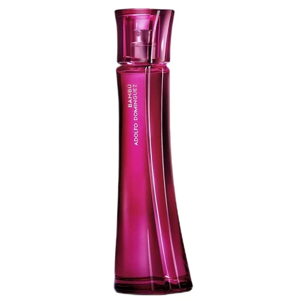 Adolfo Dominguez Bambu Mujer woda toaletowa spray 100ml (W)