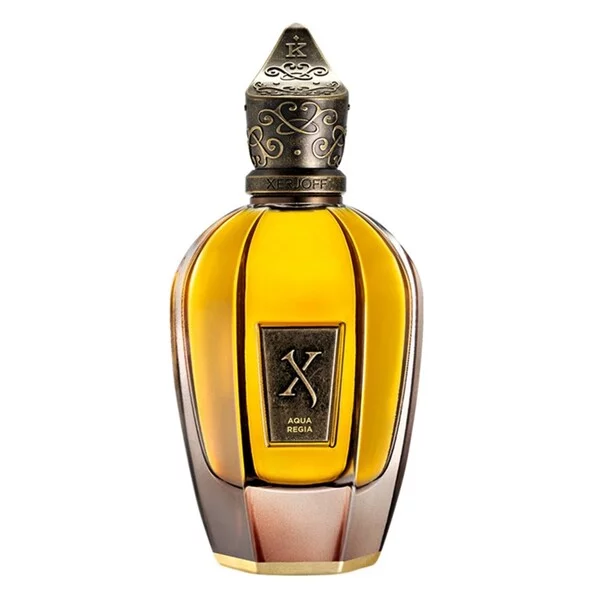 Xerjoff Aqua Regia perfumy spray 100ml (U)