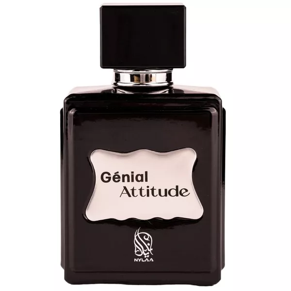 Nylaa Genial Attitude woda perfumowana spray 100ml (M)