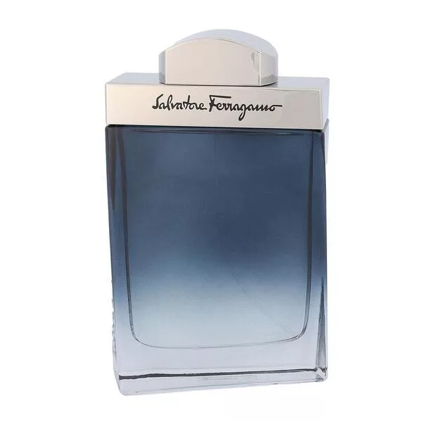 Salvatore Ferragamo Subtil Pour Homme, woda toaletowa, 100ml (M)
