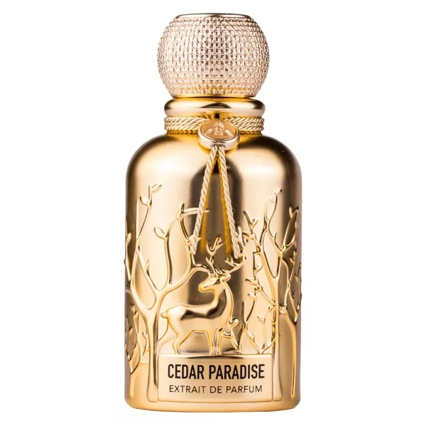 Auraa Desire Desert Dew ekstrakt perfum spray 100ml (U)